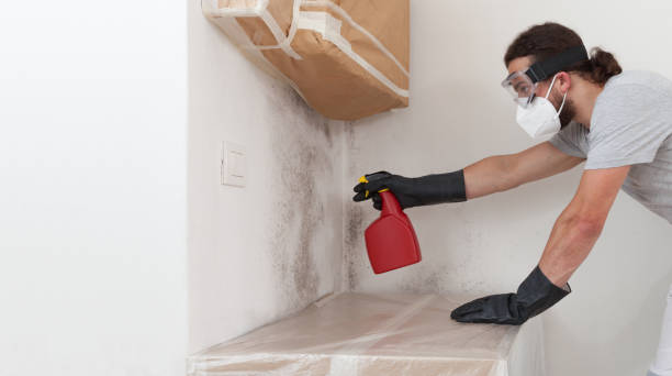 Professional Mold Remediation technician working in Exmore, VA