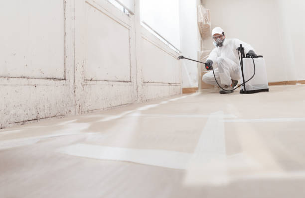 24/7 Emergency Mold Remediation experts in Exmore, VA